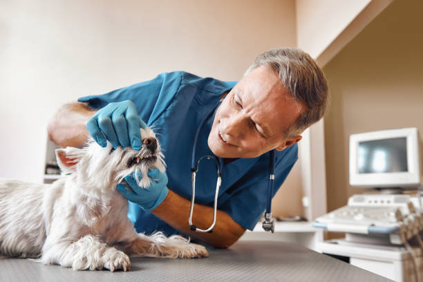 Best Emergency Tooth Extraction in Hoover, AL